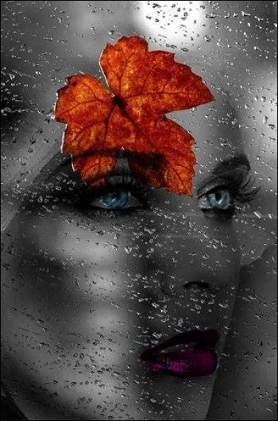 Retrouvez le titre de la chanson d'Anne Vanderlove dans laquelle elle chante "Il pleut sur le jardin sur le rivage, et si j'ai de l'eau dans les yeux c'est qu'il me pleut sur le visage..."