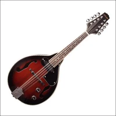 Quel est cet instrument de musique ?