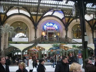 Dans quelle gare de Paris, pouvons-nous aller dans le restaurant "Le Train bleu" ?
