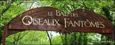 Au printemps de ma vie - Je quitte mon père - La ville attend - Les petits rats des champs !