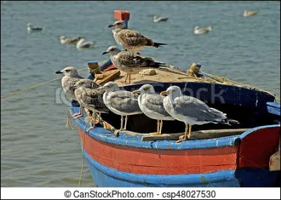 Je te donnerai, tous les bateaux, tous les oiseaux !