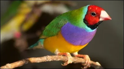 Ce matin je sors de chez moi - Il m'attendait, il était là !