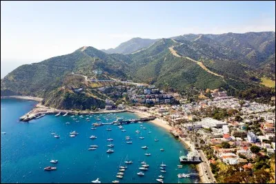 On pense que cette île est restée inhabitée pendant 7 000 ans : Santa Catalina, ou l'île Catalina, est au large d'un État américain.
Lequel ?