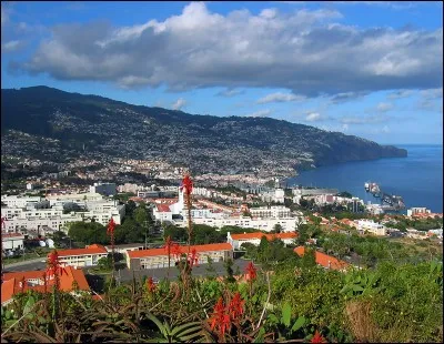 Quelle est cette île dont la capitale est Funchal et qui doit son nom à un vin portugais et un type de gâteau ?