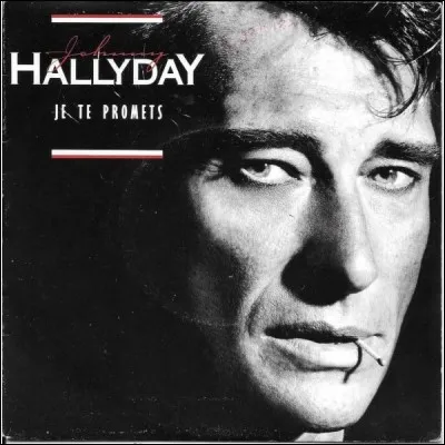 Quel est le début de ''Je te promets'' de Johnny Hallyday ?