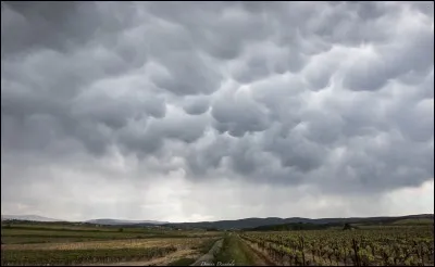 M : Mamma : ces nuages en forme de pis sont généralement associés aux...
