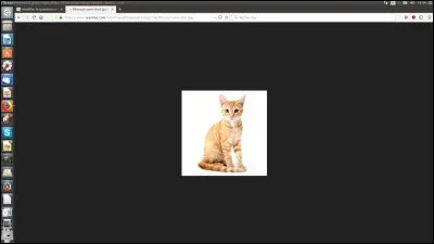 Comment s'appellent les vertèbres du cou du chat ?