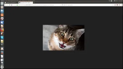 L'humérus se trouve-t-il sur les membres antérieurs ou sur les membres postérieurs ?
