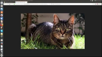 Où le sacrum est-il placé ?