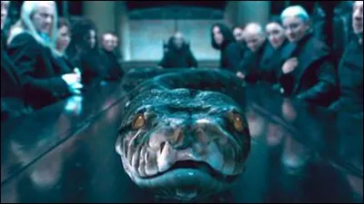 Où Arthur Weasley se fait-il attaquer par Nagini ?