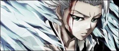 Dans "Bleach", qui est le capitaine de la 10e division ?
