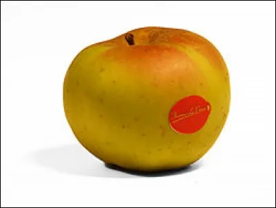 Dans quel pays peut-on visiter le parc Jasper ?