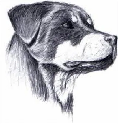 Quel jour de l'année est le "jeudi absolu" ?