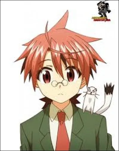 Pourquoi Negi doit-il aller enseigner l'anglais au collège ?