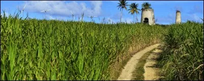 Quel âge a aujourd'hui Blanche-Neige en 2019 ?