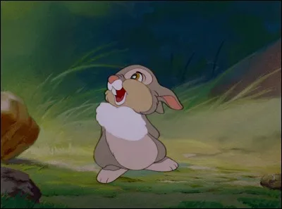 Quel animal est "Panpan" ?