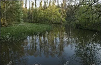 Cochez les phénomène géothermiques.