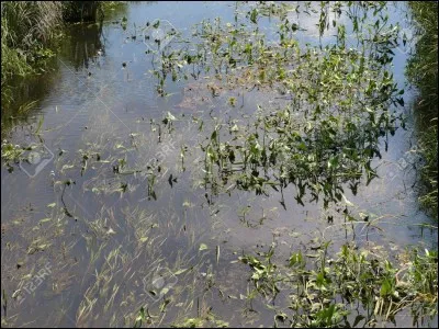 La première source chaude a été aménagée au XIIIe siècle par...