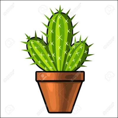 À quel chanteur cette image de cactus fait-elle allusion ?