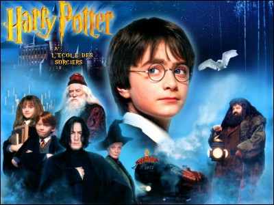 Comment s'appelle le sorcier qui ramène Harry Potter ?