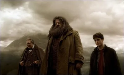 Qui met le feu à la maison d'Hagrid ?