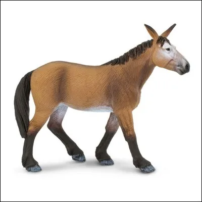 De politesse, c'est conforme à l'usage
Au restaurant, c'est d'aujourd'hui.
Magique ou algébrique,
"Un" ou cabalistique : c'est mathématiques !
Qui est-elle ?