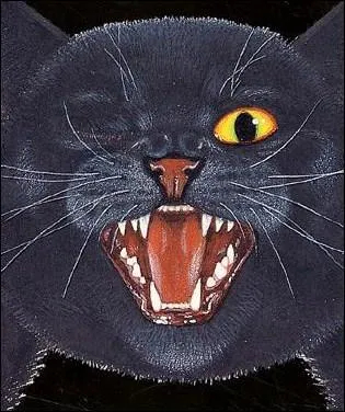 Quelle nouvelle d'Edgar Allan Poe dcrit un homme harcel par un chat borgne ?