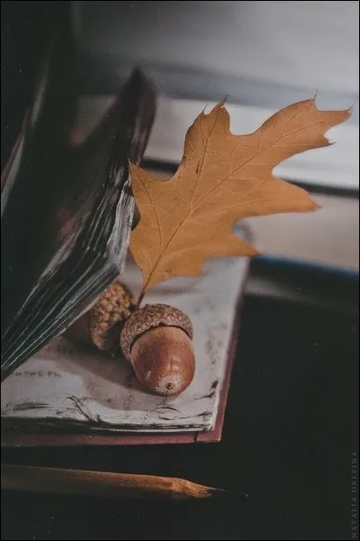Qui, dans son recueil "Les feuilles d'automne", écrivait : "Ce siècle avait deux ans, Rome remplaçait Sparte" ?