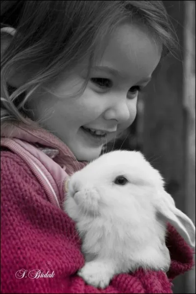 Quel est le nom de la maladie virale hémorragique du lapin, mortelle et foudroyante ?