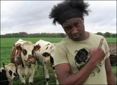 A quelle commune Kamini a-t-il consacr un rap agricole qui a fait un norme carton en 2007 ?