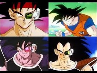 Lequel des trois est le frère de Goku ?
