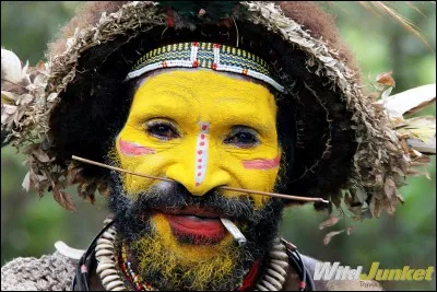 La photo est de Wild Junket et elle nous montre un habitant d'un monde éloigné du monde. Selon une étude des chercheurs de l'U. du Texas, certains papous possèdent dans leur génome ''du matériel relatif à une espèce d'hominidé non identifiée et désormais éteinte''.
D'où sont ces chasseurs-cueilleurs, qui vivent si isolés et différents du monde ?