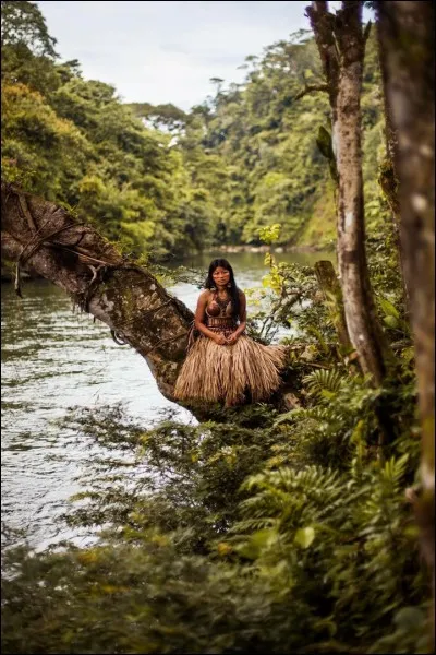 On doute du mythe de la forêt vierge : ''la flore actuelle est en partie un héritage laissé par les premiers habitants.'' Les recherches ont porté sur 85 espèces d'arbres : '' 20 des 85 espèces étaient surabondantes et cela ne pouvait pas s'expliquer par la compétition naturelle.'' 
Quelle est cette région différente de ce que les premiers européens y ont vu ?

Merci d'avoir voyagé avec moi.