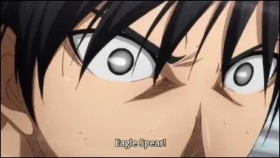 Qui possède des yeux d'aigle ?