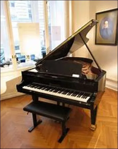 Quel est cet instrument ?