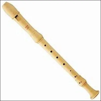 Quel est cet instrument ?