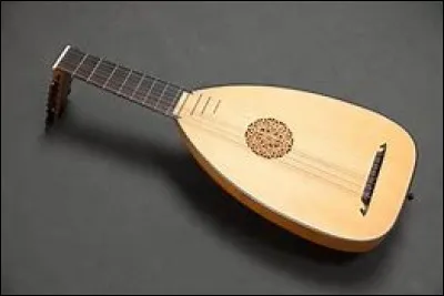 Quel est cet instrument ?