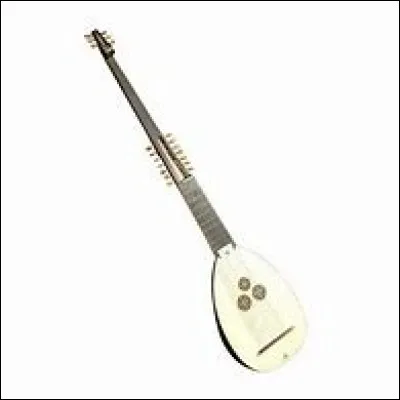 Quel est cet instrument ?