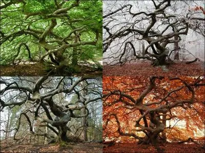 Quel compositeur a ddi une de ses 'Quatre saisons'  l'hiver ?