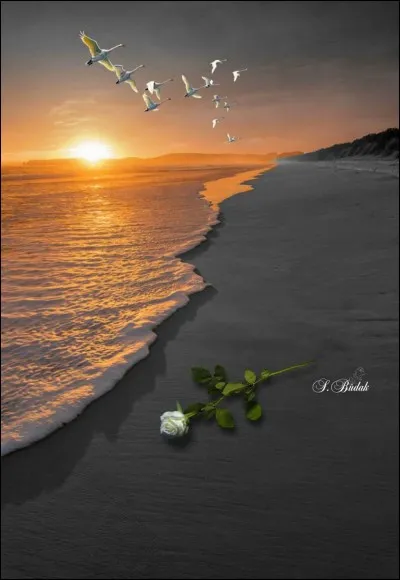 Qui a écrit "Le Silence de la mer" ?