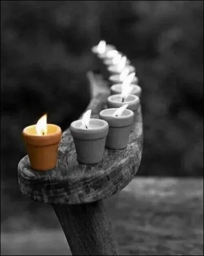 Signe de recueillement, on observait une minute de silence, en hommage aux victimes de l'attentat contre Charlie Hebdo, c'était en janvier... de quelle année ?