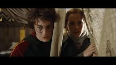 A qui Harry décide-t-il d'écrire sur le conseil d'Hermione ?