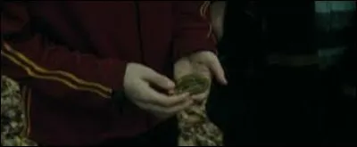 Qui conseille à Harry de prendre de la branchiflore pour respirer sous l'eau lors de la deuxième tâche ?