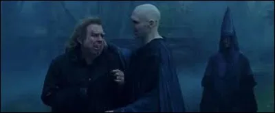 Qui reprend forme sous les yeux d'Harry ?