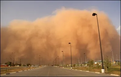 Quelle a été la cause du "Dust Bowl" qui a touché l'Amérique du Nord ?