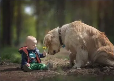 Les lacs - les rivières - les sources - les étangs - les gynécées - le foyer - les lits - les maternités - les potagers - les brasseries - les piscines - les régions bordées de mers ou d'océans