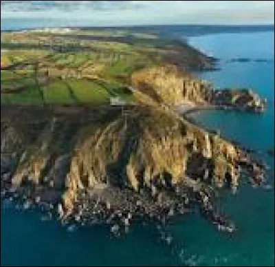 Quelle partie du corps humain possède une arête et deux ailes ?