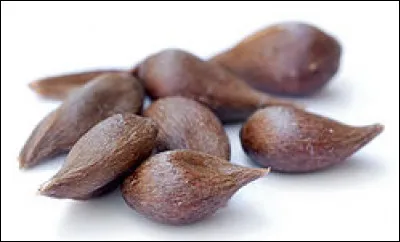 En 1807, dans le vaudeville "Romainville" apparaît un personnage qui deviendra le surnom d'un objet courant : lequel ?