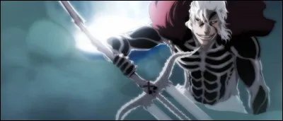 Ginjō maîtrise le bankai.