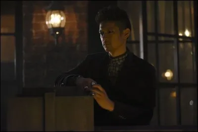 Quel est le nom de l'acteur qui incarne Magnus Bane ?